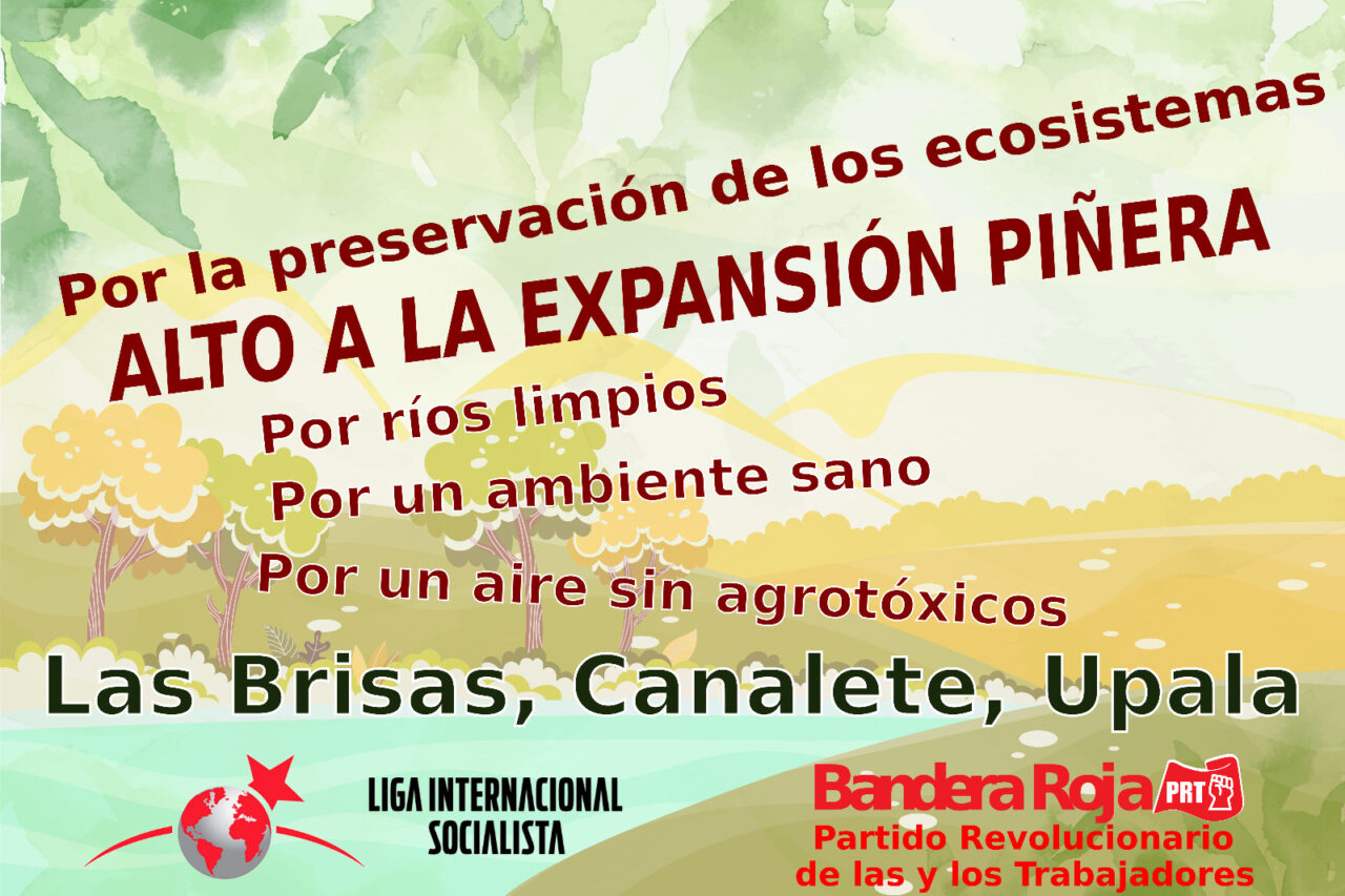 no-a-la-expnasion-pinera-1280x853.jpeg